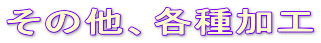 ���̑��A�e����H